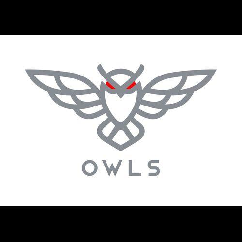 Owl's Options Traders logo
